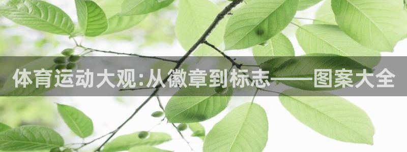oety欧亿体育官网下载平台注册要钱吗：体育运动大观