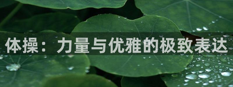 oety欧亿体育官网下载平台注册要钱吗安全吗：体操：