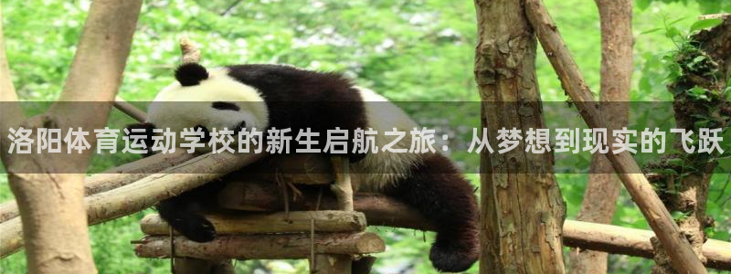 oety欧亿体育官网下载招商电话号码查询：洛阳体育运