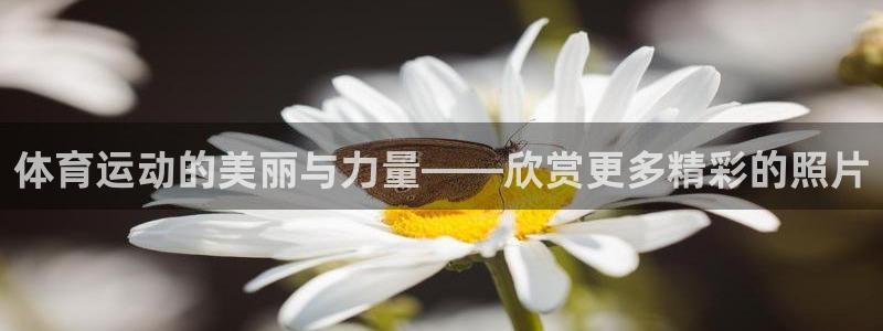 oety欧亿体育官网下载注册：体育运动的美丽与力量——欣赏更