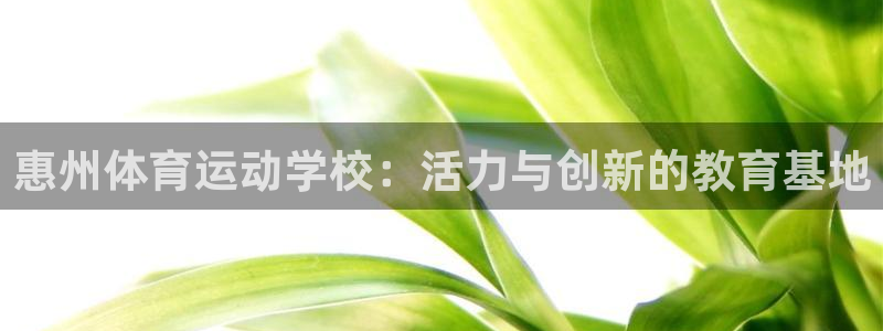 欧亿体育官方正版app官网