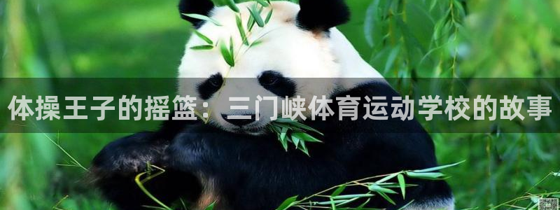 oety欧亿体育官网下载平台假的吗是真的吗吗：体操王子的摇篮