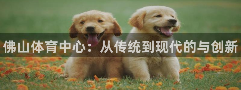 oety欧亿体育官网下载平台是正规平台吗：佛山体育中心：从传