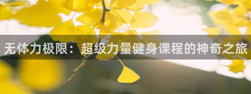 oety欧亿体育官网下载平台注册要钱吗安全吗：无体力极限：超