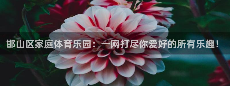 oety欧亿体育官网下载注册：邯山区家庭体育乐园：一