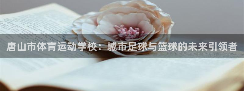 oety欧亿体育官网下载平台注册要钱吗安全吗：唐山市体育运动