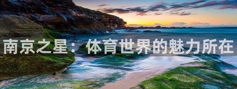 oety欧亿体育官网下载平台：南京之星：体育世界的魅力所在