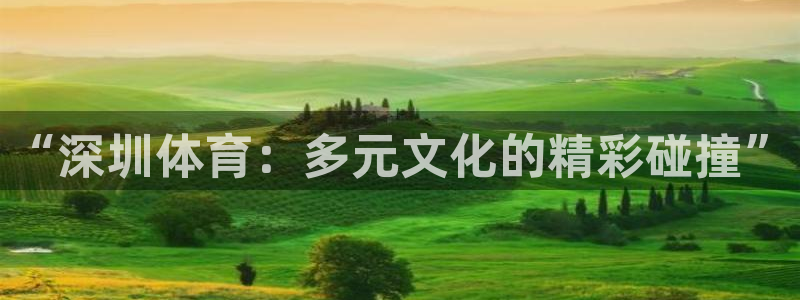 欧亿体育官方正版app新能源：“深圳体育：多元文化的精彩碰撞