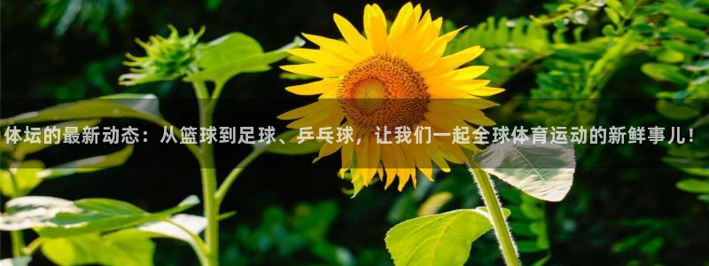 oety欧亿体育官网下载招商电话