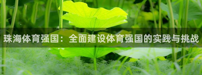 oety欧亿体育官网下载平台注册流程视频