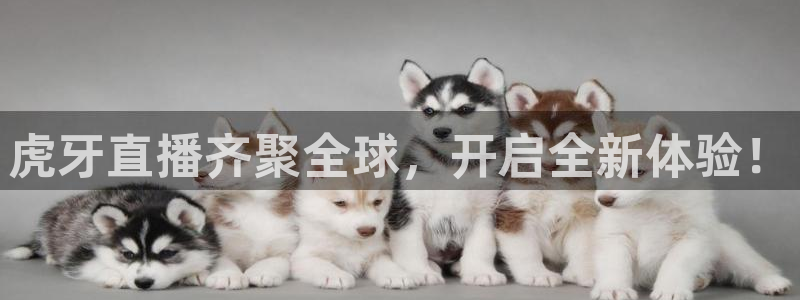 jrs柠檬体育：虎牙直播齐聚全球，开启全新体验！