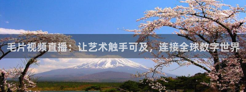 柠檬直播足球免费：毛片视频直播：让艺术触手可及，连接全球数字世界