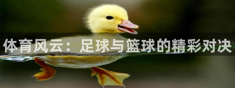 欧亿体育官方正版app新能源