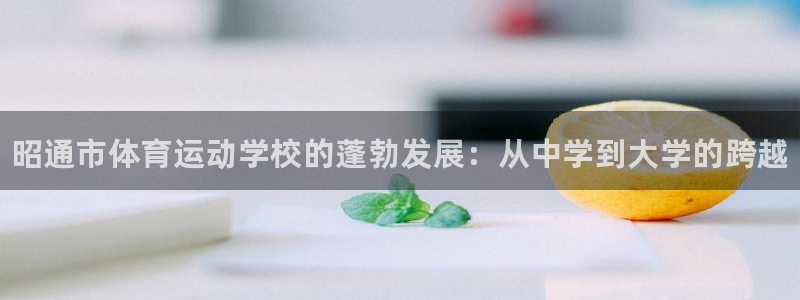 欧亿体育官方正版app神州：昭通市体育运动学校的蓬勃发展：从