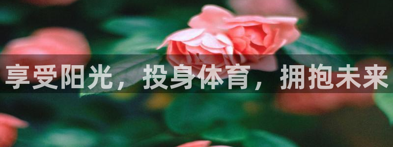 欧亿体育官方正版app娱乐首页官网下载：享受阳光，投身体育，