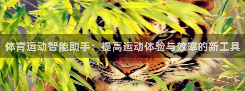 欧亿体育官方正版app新能源：体育运动智能助手：提高运动体验