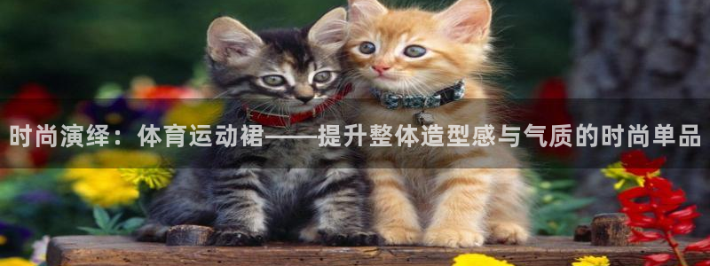 oety欧亿体育官网下载平台是正规平台吗：时尚演绎：体育运动