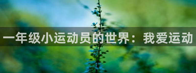 oety欧亿体育官网下载招商电话