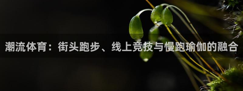 oety欧亿体育官网下载平台APP：潮流体育：街头跑步、线上