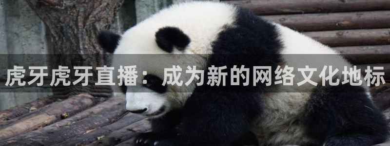 柠檬体育nba直播：虎牙虎牙直播：成为新的网络文化地标
