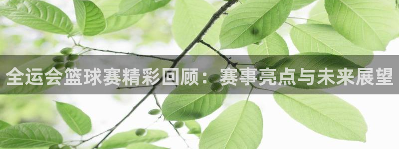柠檬足球现场直播：全运会篮球赛精彩回顾：赛事亮点与未来展望