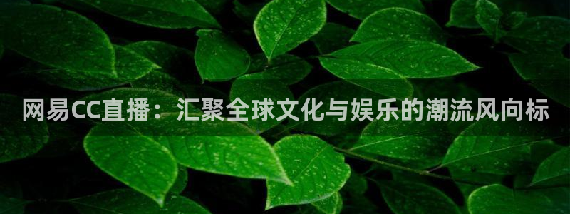 柠檬体育在线直播nba：网易CC直播：汇聚全球文化与娱乐的潮流风向标